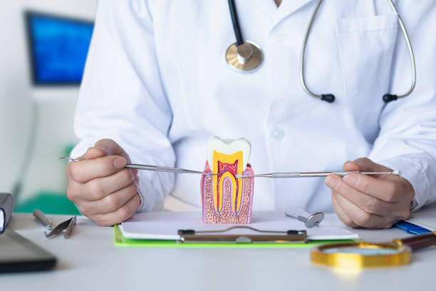 , VA Emergency Dental Service Company